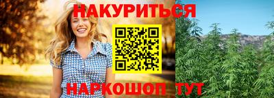 ALPHA PVP Гай